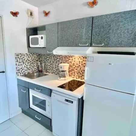 With Pool Near The Sea Saint-Raphaël